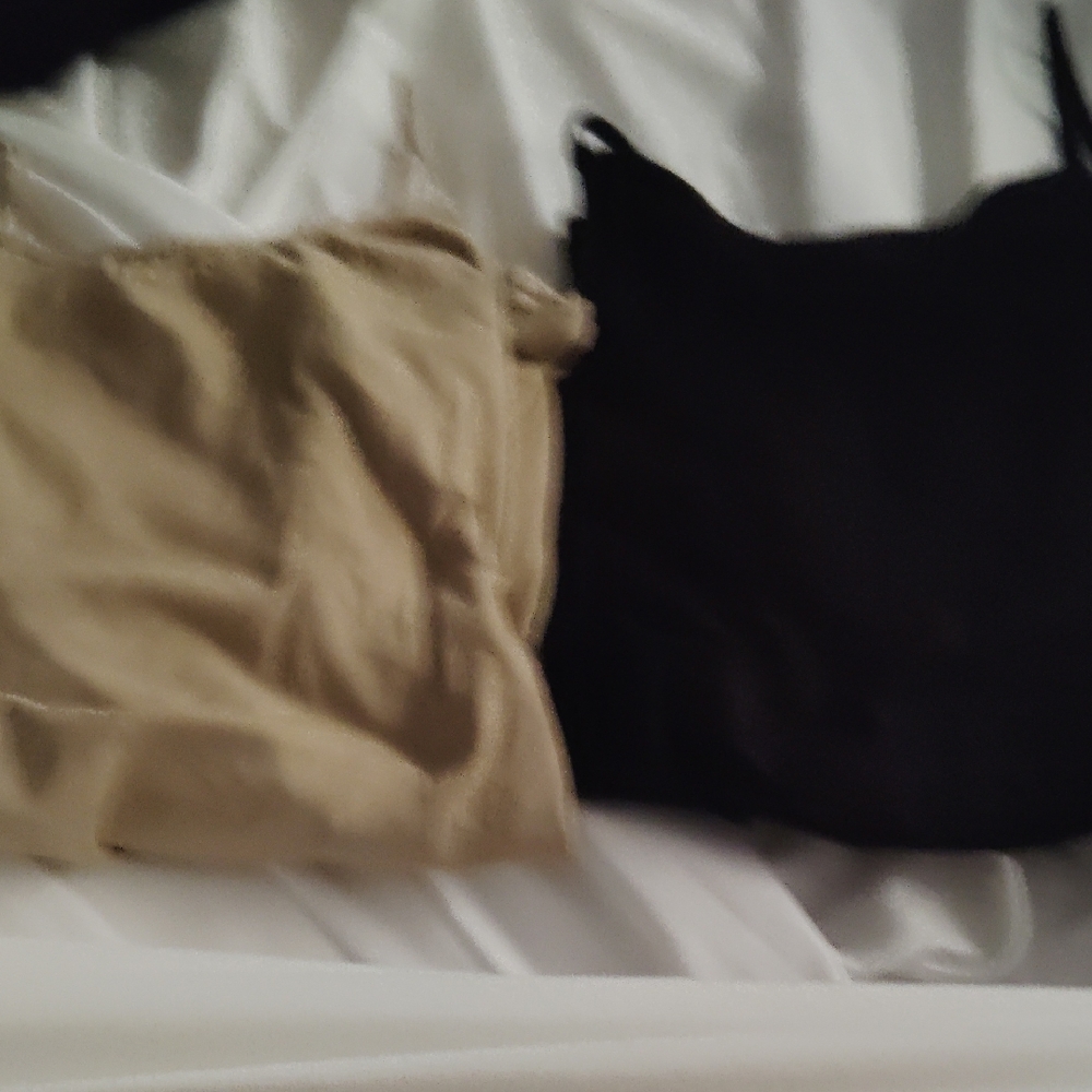 Cozy Cat Bed in Black and Tan